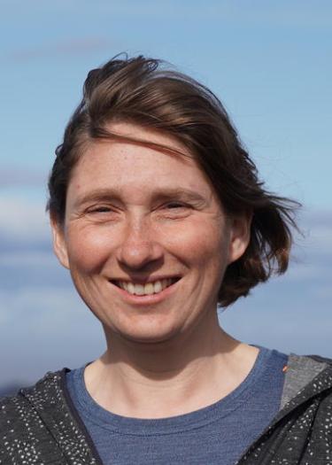 K. Schepanski